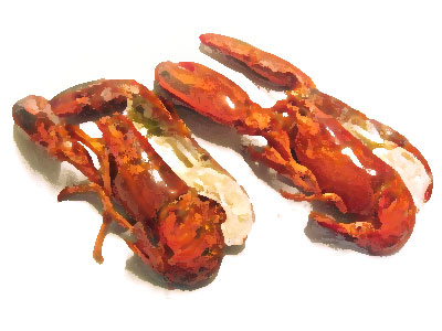 Split Blanched Lobster